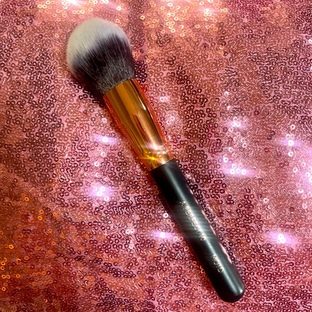 MOTD A Perfect 10 Makeup Brush